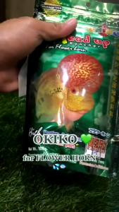 100g Okiko Head Up Huncher Flower Horn Quick Red Astaxanthin Plus All Stages Pet Fish Dry Food