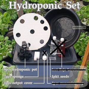 Hidropnik Set 🍁 Hydroponic Set 8 Holes 🍁 Tanaman Hidroponik