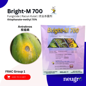 Brightonmax BRIGHT-M 700 1kg Thiophanate-methyl 70% Fungicide Antracnose Racun Kulat Antraknos Hawar Daun Kulapuk Berdebu