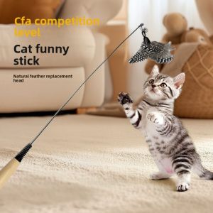 Cat Teaser Wand Toy Durable Wooden Handle Replaceable Feather Heads Interactive Hunting Fun for Cats Kittens Play ​cat Feather T