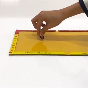 Lem Tikus Papan Perangkap Tikus Super Lengket: Solusi Praktis & Ramah Lingkungan