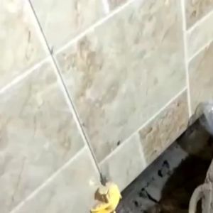 10pcs Manual Wall Tiles LocatorTile Leveling DeviceHeight Adjustment Positioner LevelerFine Thread Lifting Construction Tool