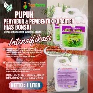 Pupuk Penyubur Tanaman Bonsai / Pupuk Tanaman Bonsai / Pupuk Organik Tanaman Bonsai / Pupuk Khusus Bonsai / Pupuk Khusus Bonsai Kelapa