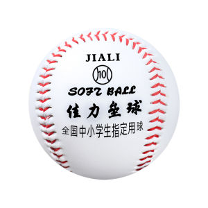 SHENWO | Soft Baseball for Elementary Students Softball Throwing 10/12 Inches