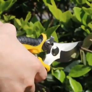 ToolHub กรรไกรจัดสวน กิ่งไม้ทำสวน เครื่องมือเครื่องตัดแต่งสวน กรรไกรตัดผลไม้ ก้านหนาตัดแต่ง กรรไกรตัดแต่งกิ่ง ประหยัดแรงงาน