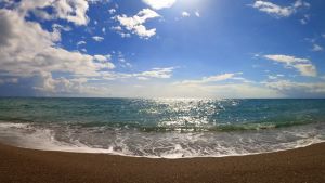 Seafrogs Universal Waterproof Phone Case Cover For Under 6.5 All Smartphone 40M Underwater Diving Photography Equipment Accessories For Iphon Huwei Xiaomi Vivo Oneplus Samsung  iPhone 16 16 pro max