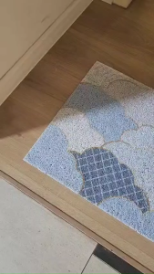 New Scandinavian Style Entrance Mat Customizable Non-Slip Dust Resistant Door Mat 45cm x 75cm
