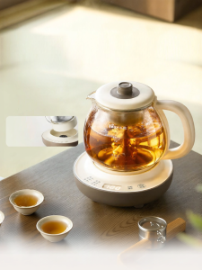 Bear | Automatic Multi-function Spraying Electric Tea Kettle