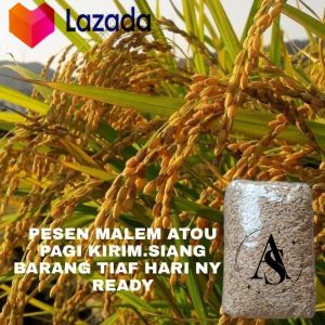 Jual Bibit Padi Huma Lokal Tahan Hama Kemasan 1= kg