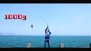 Joran Pancing Murah & Kuat: Panduan Lengkap