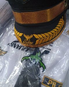 BAJU PROFESI PILOT ANAK ANAK