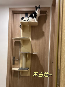 Space Saving Wall Mounted Cat Climbing Frame Integrated Cat House for Large Cats Four Season Universal Door Hanging Design