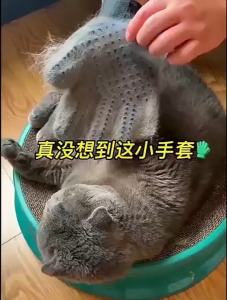 Super Quality Grooming Glove Sarung Tangan Sikat Sisir Plus Fungsi Pijat Breathable Lembut Dikulit Hewan Perawatan Bulu Pet Anjing Kucing