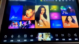 HAJURIZ Karaoke Player1TB HDD 20K ChineseEnglish Songs15.6Capacitance Touch Screen PlayerSongs MachineAndroidDual systemMulti-Language songs on cloudWired micrphoneMixer