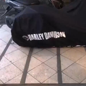 Sarung Motor USA Harley Davidson Type Sportster