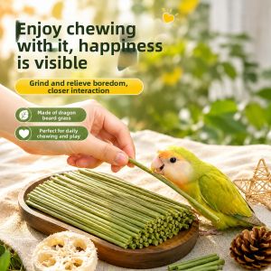 Hadassah | Interactive Chewing Toy for Small Birds