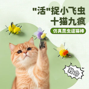 Ultimate Guide to Feather Replacement Heads & Interactive Flying Insect Feathers for Cats