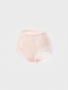 Mybody | French Lace High Waist Tummy Shaping Briefs