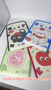 A4 13 Layer Paper Storage Bag Large Capacity Vertical Organ Portable File Organizer Waterproof