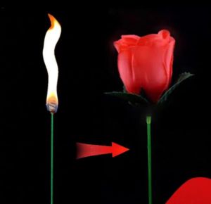 HIMISS Novelty Torch to Rose Magic Trick Fire Flame Flower for Stage Performance Show Prop Halloween