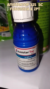 AMISTARTOP 325 SC 100 ML Original Formula Sistemik ZPT Syngenta Obat Hama Jamur Tanaman