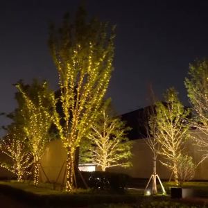 Outdoor Solar Dark Green Fairy String Lights 10/20/30M 8 Lighting Modes Waterproof Gardens Lights for Courtyards Christmas Decor