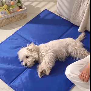 Đệm gel nước làm mát cho Chó Mèo màu xanh dương (Hàng mới về) - Love Pets Shop