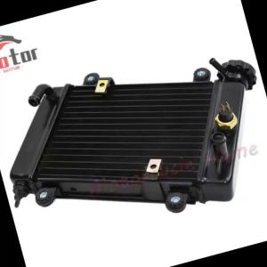 Water Cooling Tank Radiator For Bashan 200-7 250cc 200cc Electric ATV UTV Go Kart Buggy Parts
