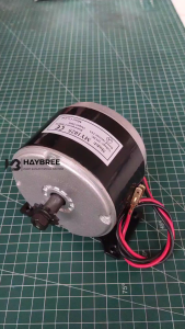 Dinamo DC Motor Brushed 24V 14A 250W 2750Rpm Model-MY1025 Dinamo Mesin Sepeda Listrik Skuter