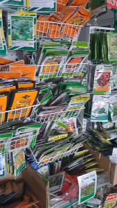 (Gói 5gr) Hạt Giống Ớt Chỉ Thiên F1 Nguyên Đăng-605 NÔNG HỘI