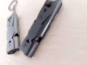 นกหวีดสำหรับฝึกนก นกหวีดเรียกนก นกหวีดฝึกนกแก้ว เสียง สำหรับการสลายตาและสุขภาพกับนก