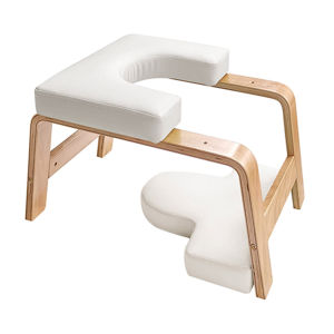 UPTTITUDE | Professional Core Strength Assistance Inversion Bench