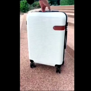 PassionGrip Classic ABS+PC Hard Case Luggage 20/24 Inch with 360° Silent Wheels and Anti-Theft Combination Lock