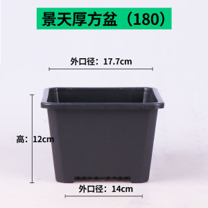 Thickened Plastic Small Square Pot for Planting Succulents Flowers And Greenery Simple Design Black Color Ideal for Mobile Accessories