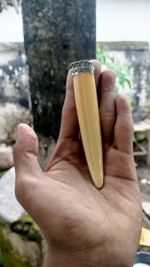 once pipa iga tarduy ring alpaka