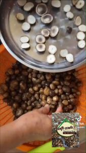 เห็ดถอก 90% เห็ดป่าทรงช้า หนังกลาง 1 ชุด