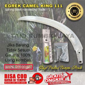 EGREK CAMEL KING STAR 111 MALAYSIA SIAP PAKAI