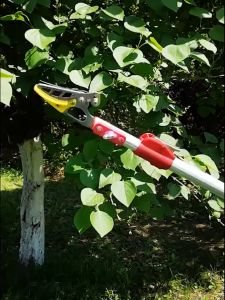 Fruit Picker With Pole Tree Branch Cutter Fruit-picking Scissors Height Adjustable Multifunction Fruit Picker Garden Telescopic Fruit Tree