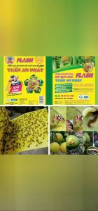 Miếng dán ruồi vàng keo dính ruồi vàng côn trùng chích hút trái cây trên cây ăn quả ăn trái: dưa leo khổ qua ...