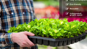 Pot Semai Benih Bibit Tanaman Per 5 Pcs Tray Tanam Bibit Sayuran / Tray Semai  Isi 200 Lubang