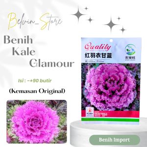 (-+90 butir) Benih kale glamour merah | glamour red kale flowering [kemasan pabrik]