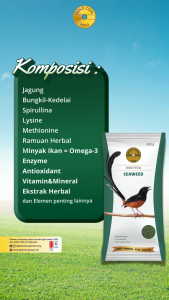 GOLD COIN SEAWEED 450 GRAM VOER BURUNG MURAI 450 gram