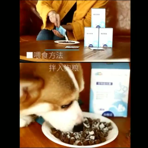 Men Vi Sinh Cho Chó Mèo Borammy Probiotic Hỗ Trợ Tiêu Hoá - iPet Shop