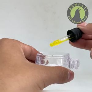 SARANG WALET PLUS GINSENG PENGGACOR SEKETIKA VITAMIN BURUNG MENINGKATKAN KEGACORAN STAMINA MENTAL