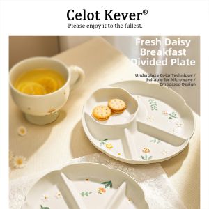 Daisy Fresh Relief Portion Control Dish