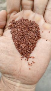 Ngũ Hoa Hạt Đắp Mặt Nguyên Chất Giảm Mụn Giảm Thâm Giảm sưngngứa cho da bị dị ứngsạch da phục hồi da trắng sáng căng mịntạo độ đàn hồi cho da Tiêu diệt mụn mủ mụn nhọt mụn bọcsưng viêm