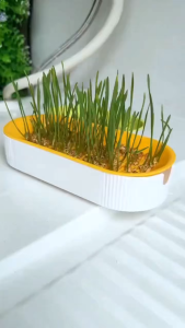 Hydroponic Cat Grass Box Cat Treats Catnip Hydroponic Soilless Planting Cat Grass Pot Set for Easy Growth