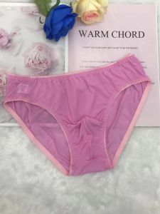 Quần Lót Nam Siêu Mỏng Đàn Hồi Gợi Cảm Quần Lót Nam Thường Ngày Bằng Vải Lụa Mềm Mại Kiểu Dáng Lõm Quần Lót Nam Bằng Nylon Cạp Vừa