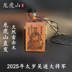 Dragon Tiger Mountain Lightning Wood Transformation 2025 Year of the Snake Wu Sui Great General Good Luck Pendant Necklace for Men And Women