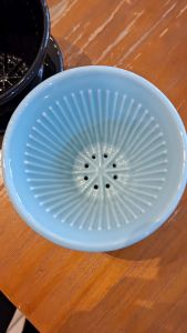 [Coffee Icon] MILA Ceramic Wave 185 Dripper / Coffee Making Accessories / Hand Brew Pour Over Accessories (Ready Stock)